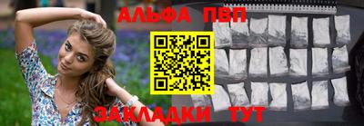 стаф Шелехов