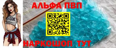 стаф Шелехов