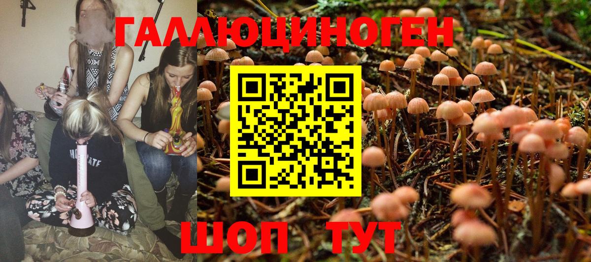 Псилоцибиновые грибы Magic Shrooms Жигулёвск