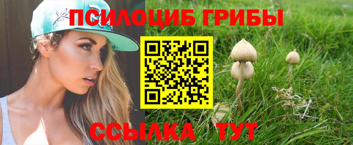 Жигулёвск  Галлюциногенные грибы мицелий  Вход с VPN 